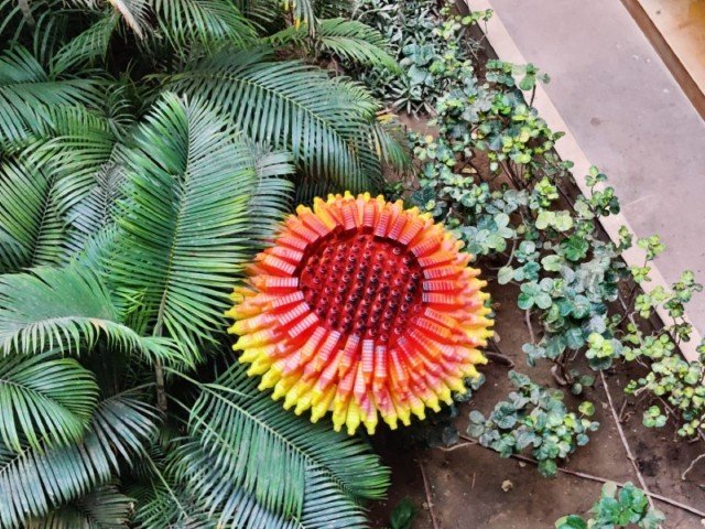 outreach-oorja-hanumanji